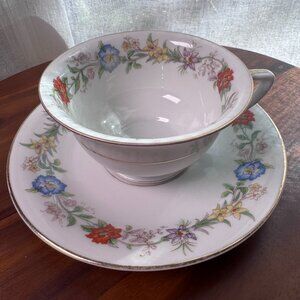 Vintage Heinrich & Co Senta Bavaria Tea Cup and Saucer Set, Floral China